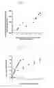 Fig. 02 - Methods for detection of promoter polymorphism in a UGT gene promoter