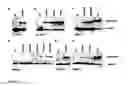 Fig. 04 - Modulation of exon recognition in pre-mRNA by interfering with the secondary RNA structure