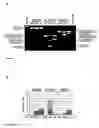 Fig. 08 - Modulation of exon recognition in pre-mRNA by interfering with the secondary RNA structure