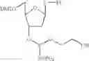 Fig. 07 - Methods and compositions for monitoring polymer array synthesis