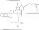 Fig. 17 - Methods and compositions for monitoring polymer array synthesis