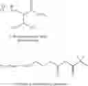 Fig. 20 - Methods and compositions for monitoring polymer array synthesis
