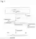 Fig. 02 - Process for producing template DNA and process for producing protein in cell-free protein synthesis system with the use of the same