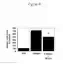 Fig. 05 - Method for detection of bioactive peptides