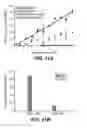 Fig. 09 - Prediction and assessment of immunogenicity