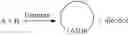 Fig. 03 - Enzymatic production of macrocyclic amide oligomers