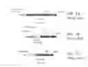 Fig. 02 - METHODS FOR SUPPORTING AND PRODUCING HUMAN CELLS AND TISSUES IN NON-HUMAN MAMMAL HOSTS