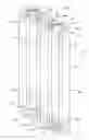 Fig. 07 - Small scale ideal kinetic reactor to evaluate full size industrial catalysts