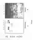Fig. 02 - Storage-stable fibrinogen solutions