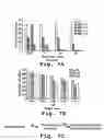 Fig. 08 - Antisense antiviral compound and method for treating influenza viral infection