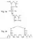 Fig. 02 - Nucleic acid derivatives