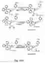 Fig. 06 - Nucleic acid derivatives