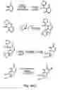 Fig. 08 - Nucleic acid derivatives