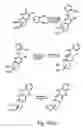 Fig. 09 - Nucleic acid derivatives