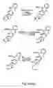Fig. 10 - Nucleic acid derivatives