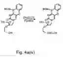Fig. 11 - Nucleic acid derivatives