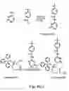 Fig. 12 - Nucleic acid derivatives