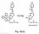 Fig. 13 - Nucleic acid derivatives