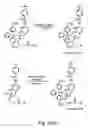 Fig. 14 - Nucleic acid derivatives