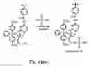 Fig. 15 - Nucleic acid derivatives