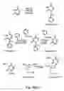 Fig. 16 - Nucleic acid derivatives