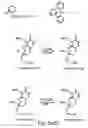 Fig. 17 - Nucleic acid derivatives