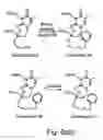 Fig. 18 - Nucleic acid derivatives