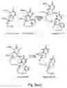 Fig. 19 - Nucleic acid derivatives