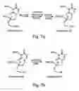 Fig. 20 - Nucleic acid derivatives