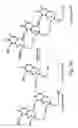 Fig. 23 - Nucleic acid derivatives