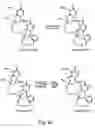 Fig. 24 - Nucleic acid derivatives