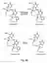 Fig. 25 - Nucleic acid derivatives