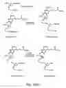 Fig. 32 - Nucleic acid derivatives