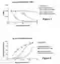 Fig. 02 - (20S)-1alpha-hydroxy-2alpha-methyl and 2beta-methyl-19-nor-vitamin D3 and their uses
