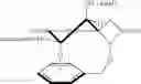 Fig. 07 - Regioselective hydroxylation, functionalisation and protection of spirolactams II