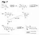 Fig. 05 - Anti-infective biaryl compounds