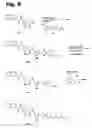 Fig. 06 - Anti-infective biaryl compounds