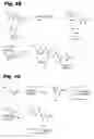 Fig. 12 - Anti-infective biaryl compounds