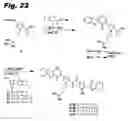 Fig. 15 - Anti-infective biaryl compounds