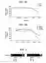 Fig. 03 - Quinoline derivatives, process of synthesis and medicaments containing these derivatives