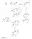 Fig. 07 - Compounds that modulate PPARγ type receptors and cosmetic/pharmaceutical compositions comprised thereof