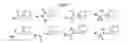 Fig. 03 - Metabolic stabilization of substituted adamantane