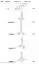 Fig. 08 - Nr3b1 nuclear receptor binding 3-substituted pyrazoles