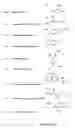 Fig. 18 - Anti tubercular drug: compositions and methods