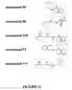 Fig. 64 - Anti tubercular drug: compositions and methods