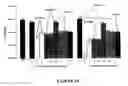 Fig. 70 - Anti tubercular drug: compositions and methods