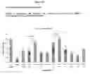 Fig. 98 - Anti tubercular drug: compositions and methods