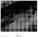 Fig. 08 - Process for preparing polymer nanocomposites and nanocomposites prepared therefrom