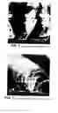 Fig. 02 - Expanded graphite and products produced therefrom
