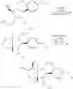 Fig. 09 - Process to prepare malayamycin derivatives